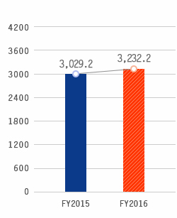 Total Equity, FY2015:3,029.2, FY2016:3,232.2